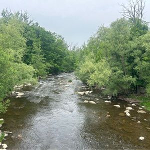 Meet your Posher, Gracie